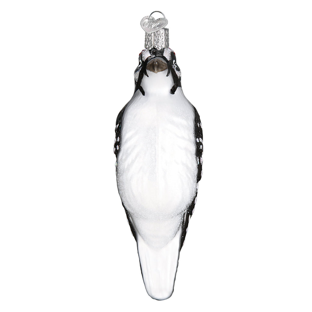 Hanging Hairy Woodpecker