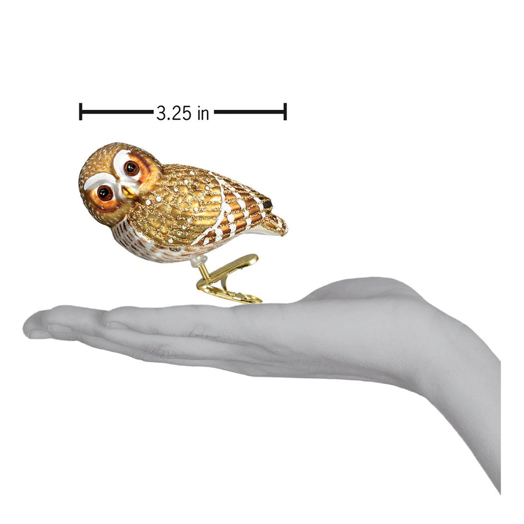 Pygmy Owl Ornament