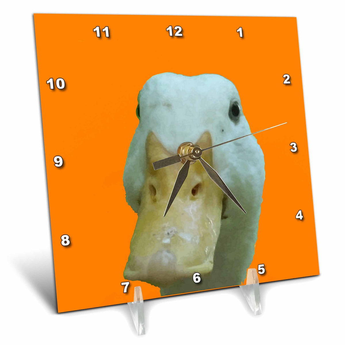 3dRose Quirky Peeking Duck Isolated On Orange Background - Desk Clocks (dc_351175)