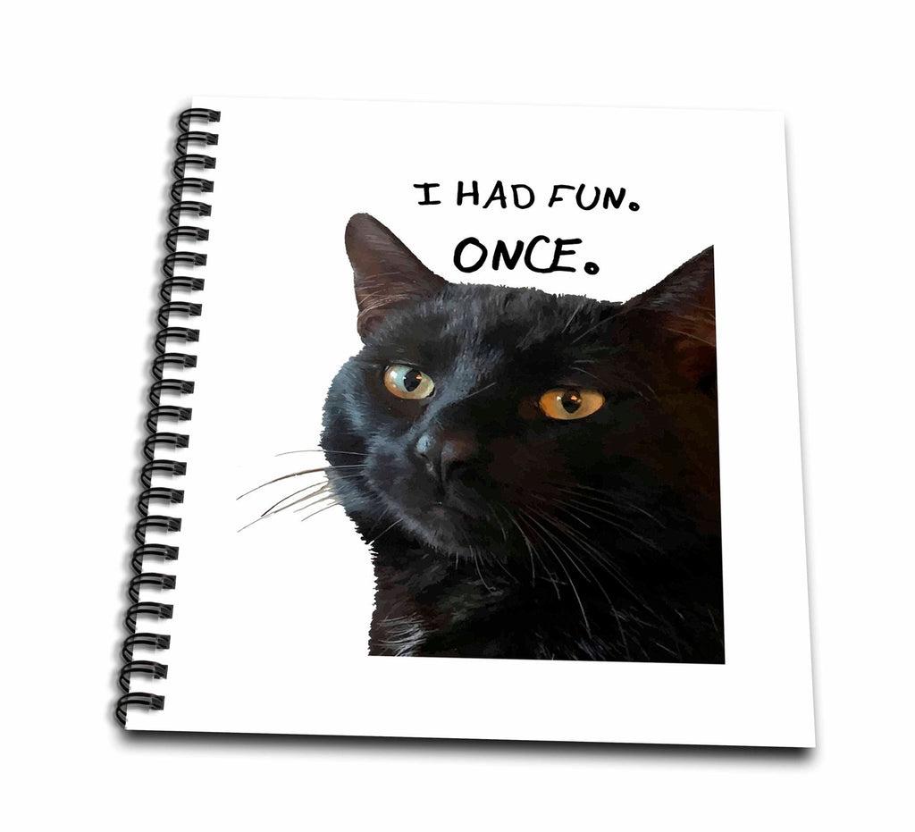3dRose I Had Fun. Once. Quote with Quirky Black Cat - Drawing Books (db-383406)