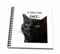 3dRose I Had Fun. Once. Quote with Quirky Black Cat - Drawing Books (db-383406)