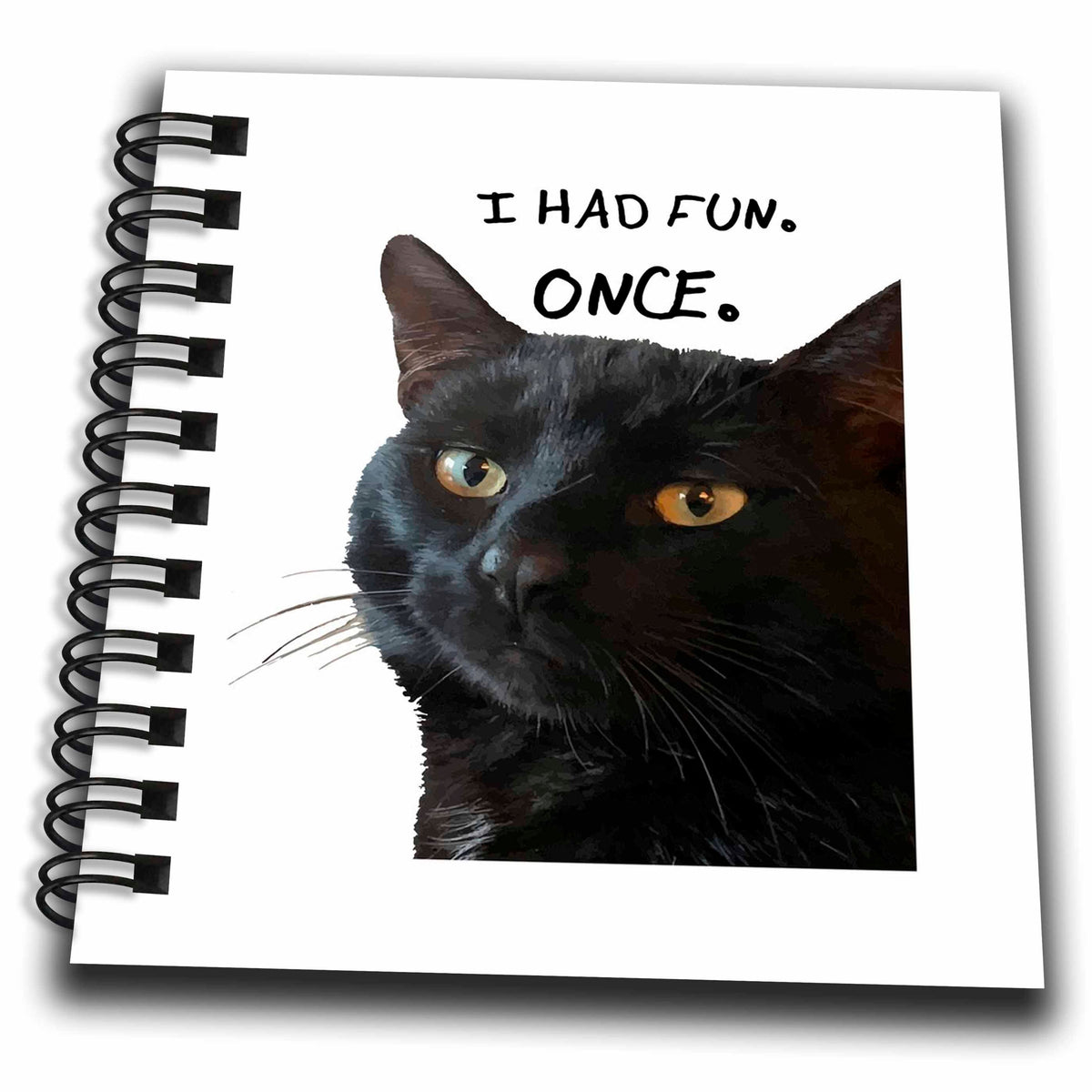 3dRose I Had Fun. Once. Quote with Quirky Black Cat - Drawing Books (db-383406)