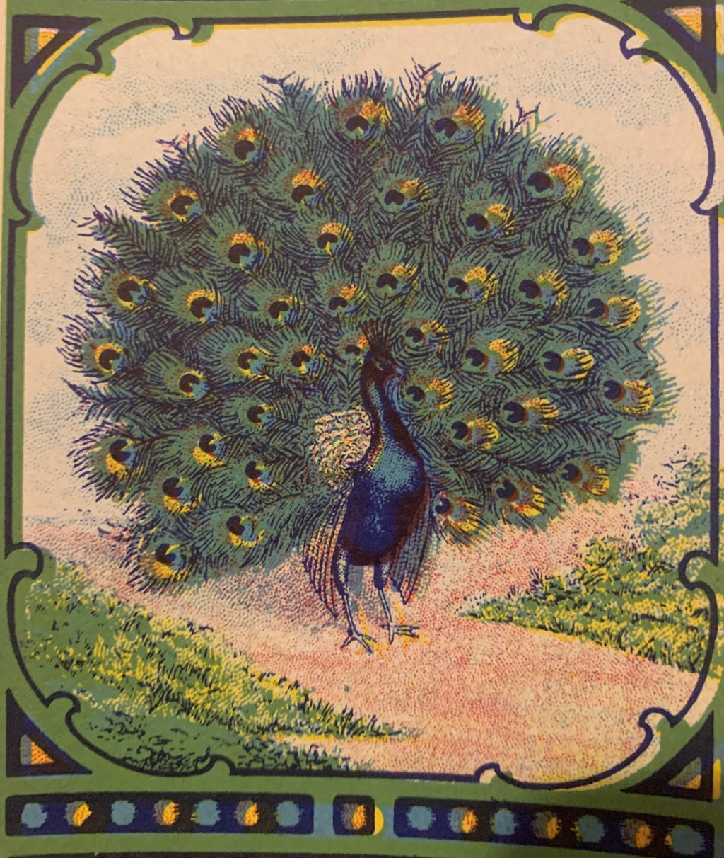Antique Peacock Broom Label 1910s-1920s Art Nouveau Chromolithograph Litho USA Advertising Ephemera 🧹
