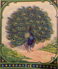 Antique Peacock Broom Label 1910s-1920s Art Nouveau Chromolithograph Litho USA Advertising Ephemera 🧹